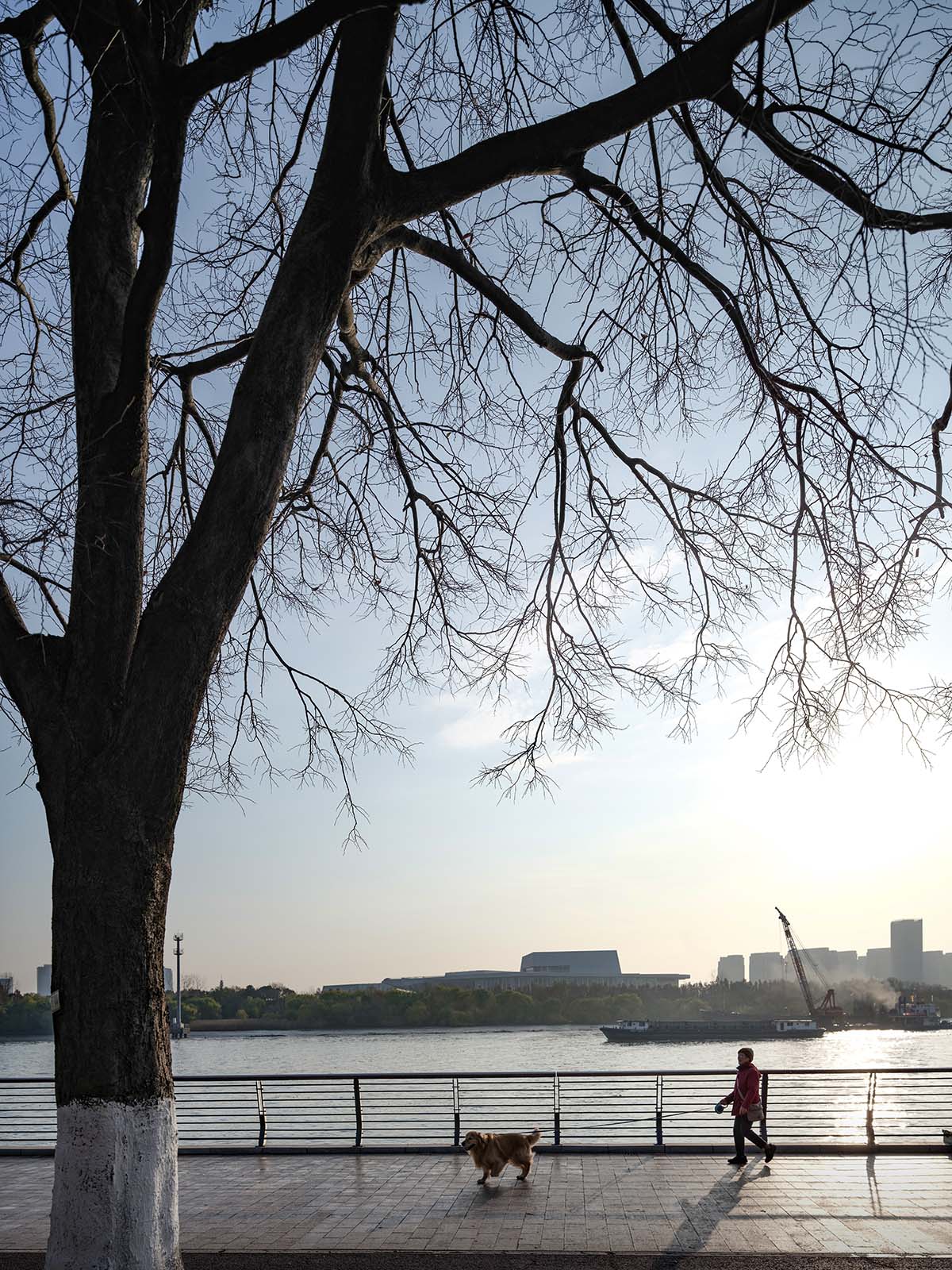 Sn&oslash;hetta's Shanghai Grand Opera House nears completion