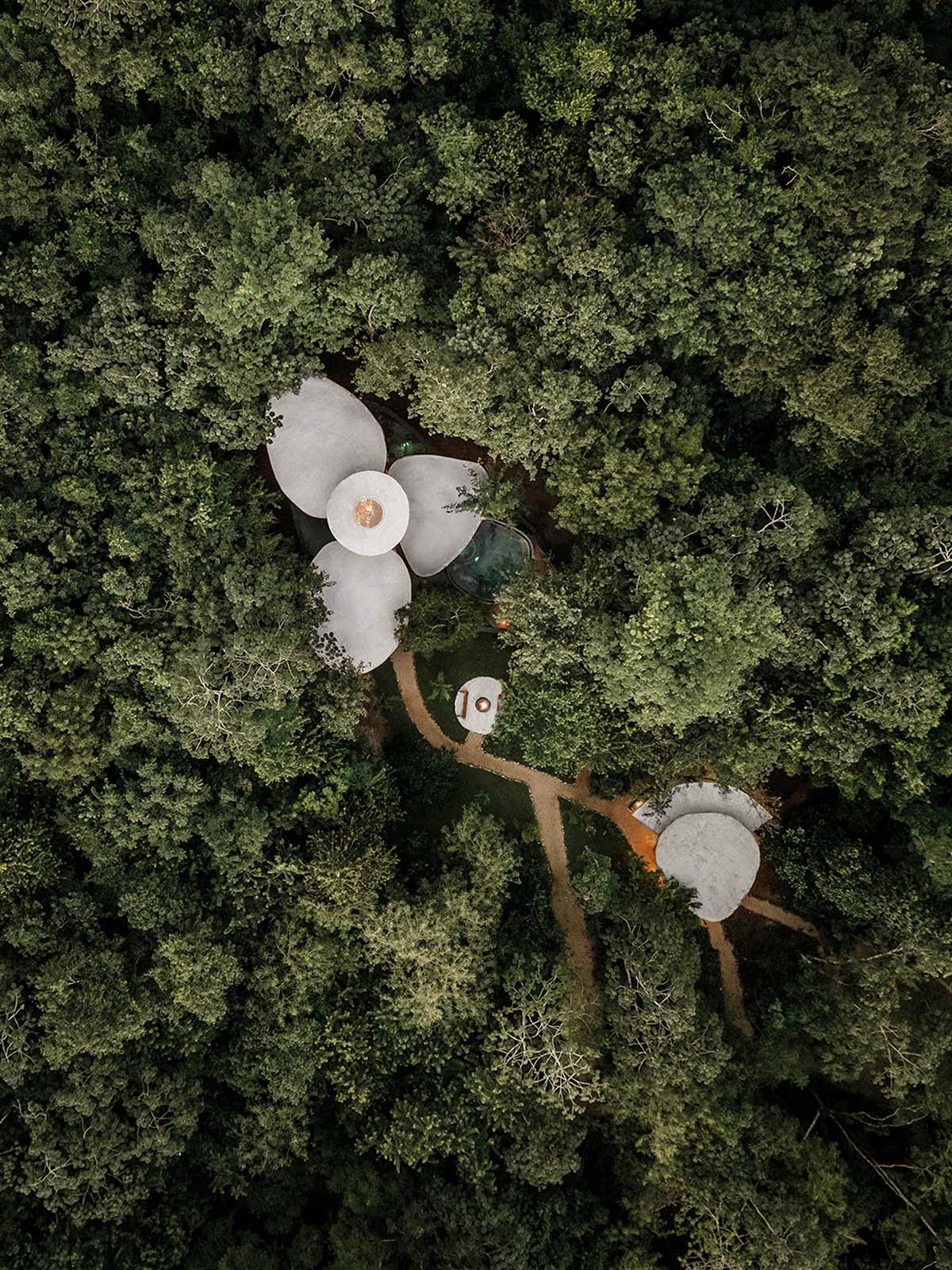 Flower-shaped bamboo holiday villa by NOD Studio is encased in a bamboo dome in a Mexican jungle