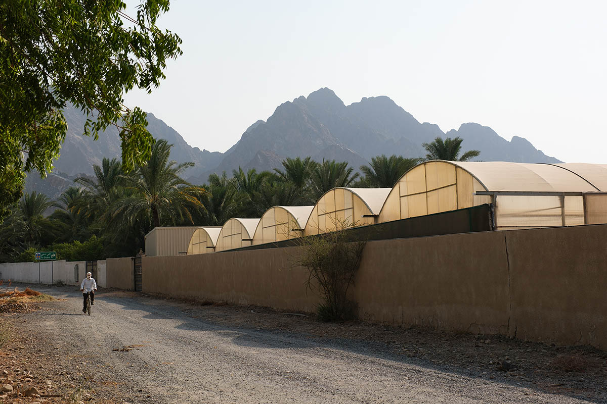National Pavilion UAE explores the intersection of architecture, food security, and climate change