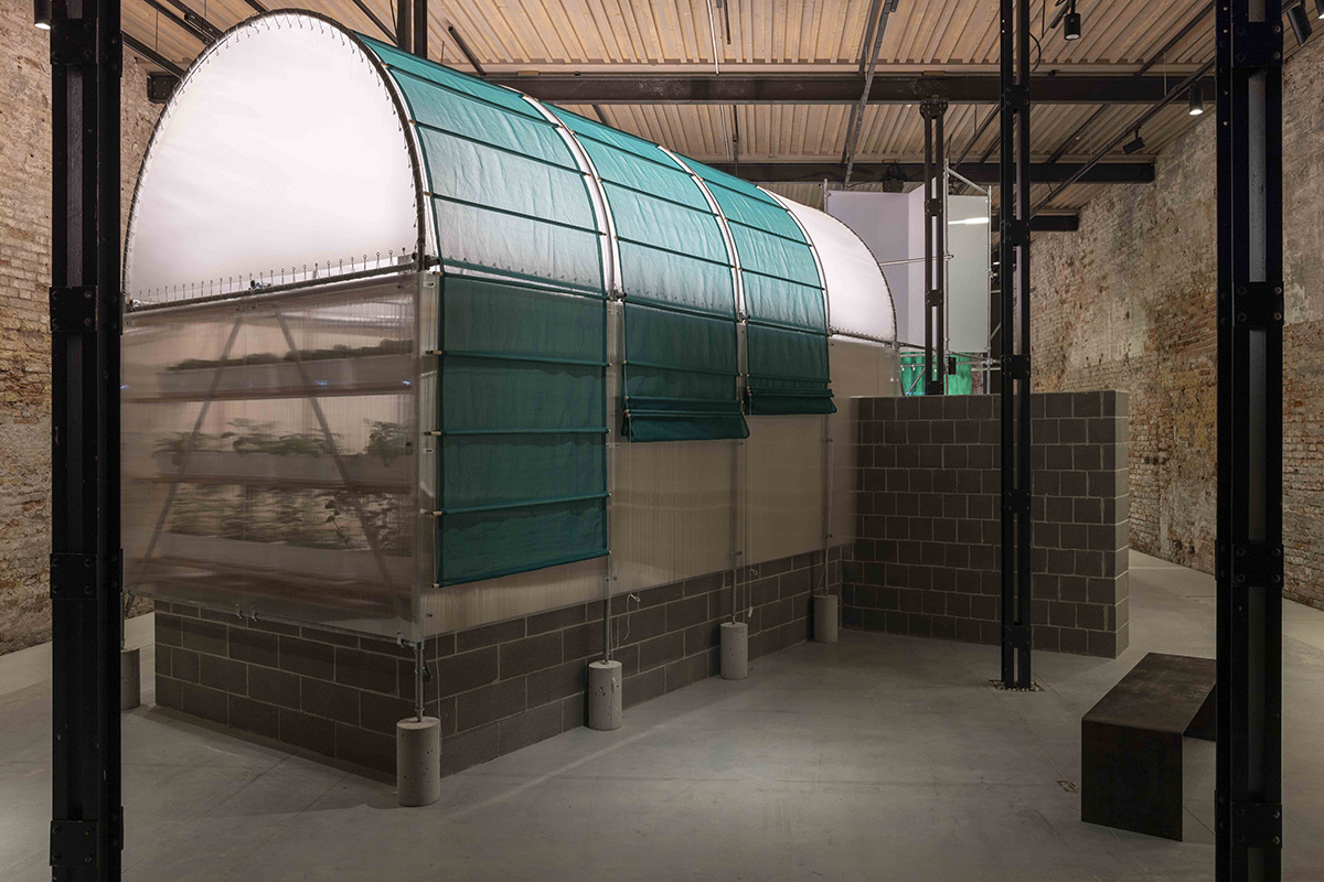 National Pavilion UAE explores the intersection of architecture, food security, and climate change