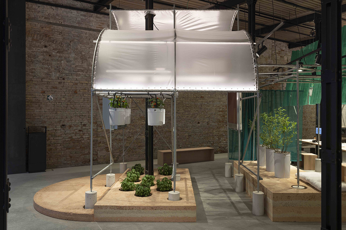 National Pavilion UAE explores the intersection of architecture, food security, and climate change