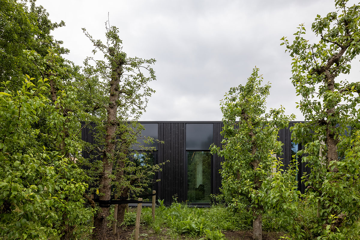 RoosRos Architecten completes black wooden-clad family house in an old orchard in Nieuw-Beijerland