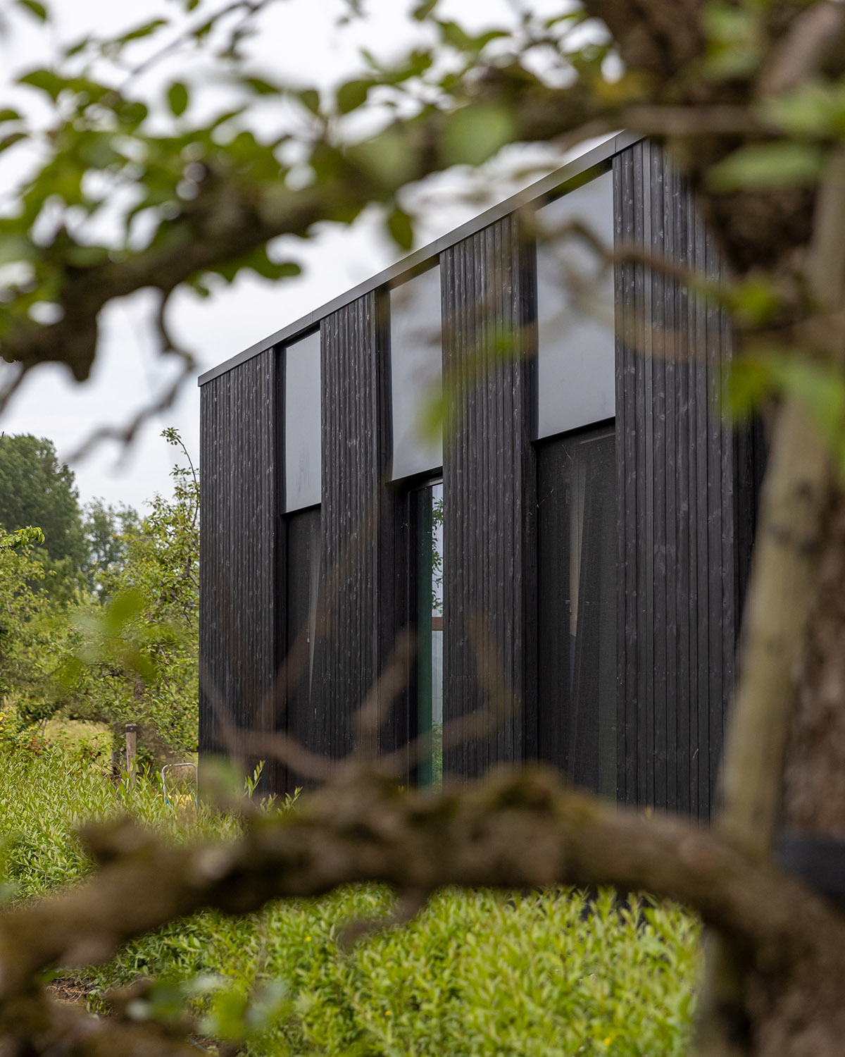 RoosRos Architecten completes black wooden-clad family house in an old orchard in Nieuw-Beijerland