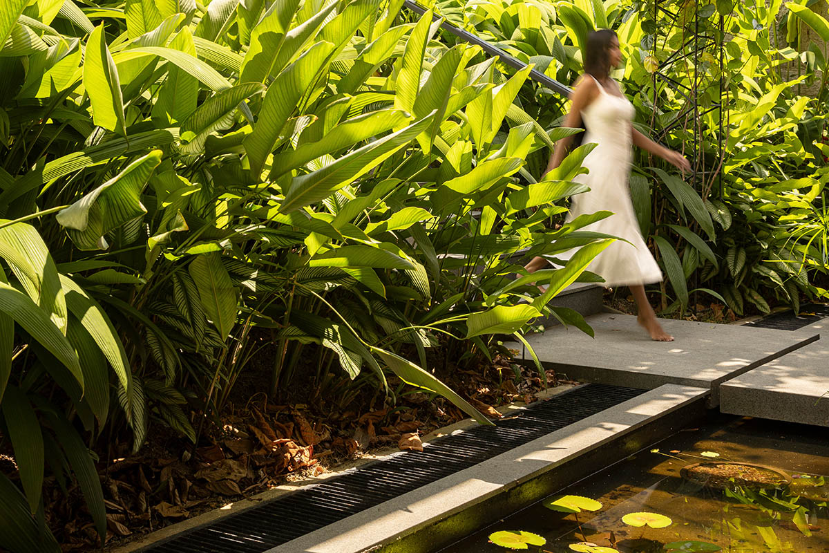Pupunha House offers skyward oasis amidst a lush landscape in Manaus