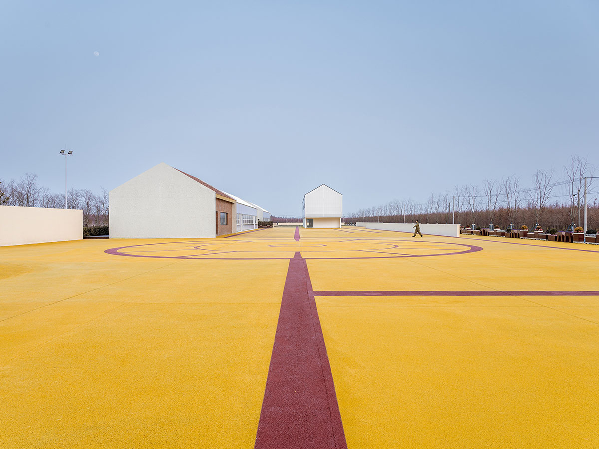 Wutopia Lab converts abandoned barnyard into a golden yellow field resembling a frozen harvest time