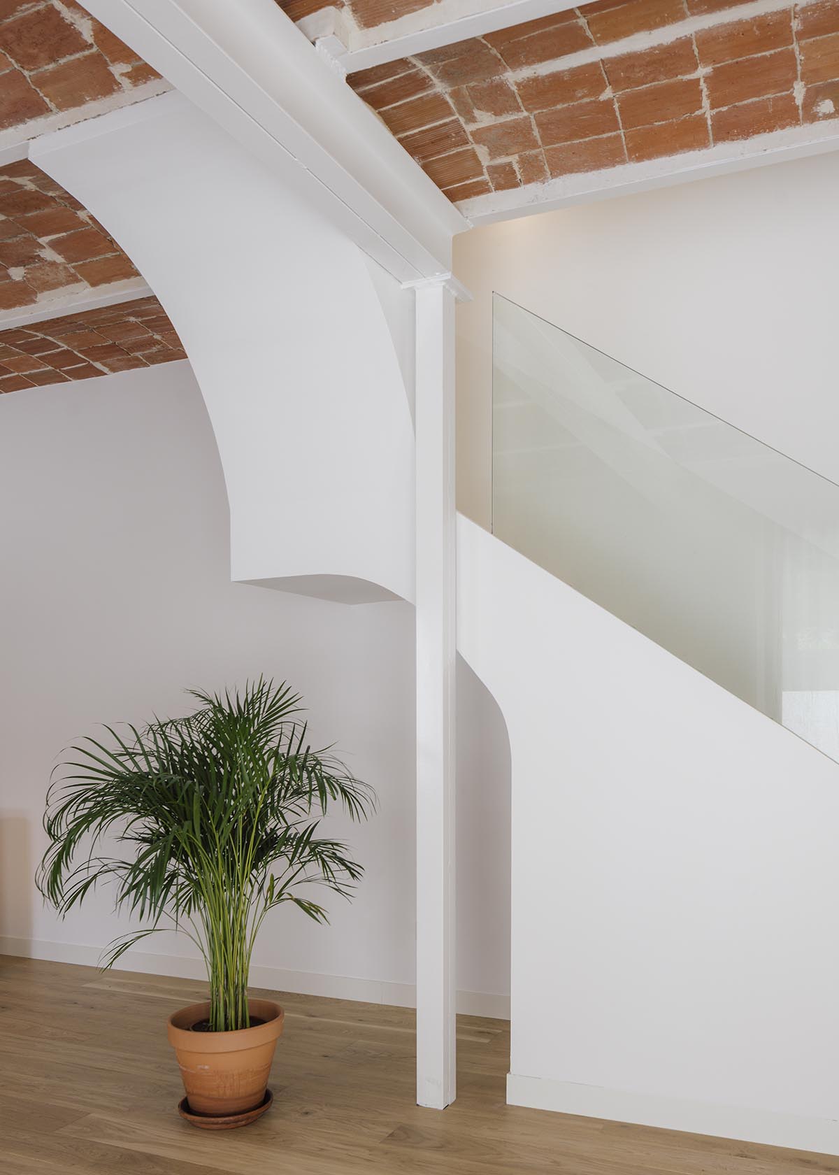 Zooco Estudio exposes Catalan vaults with bricks to renovate this historic house in Madrid