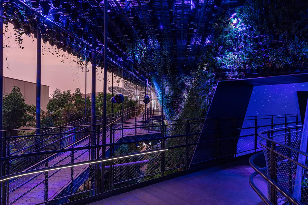 A city in nature: Singapore Pavilion presents Nature. Nurture. Future at Expo 2020 Dubai