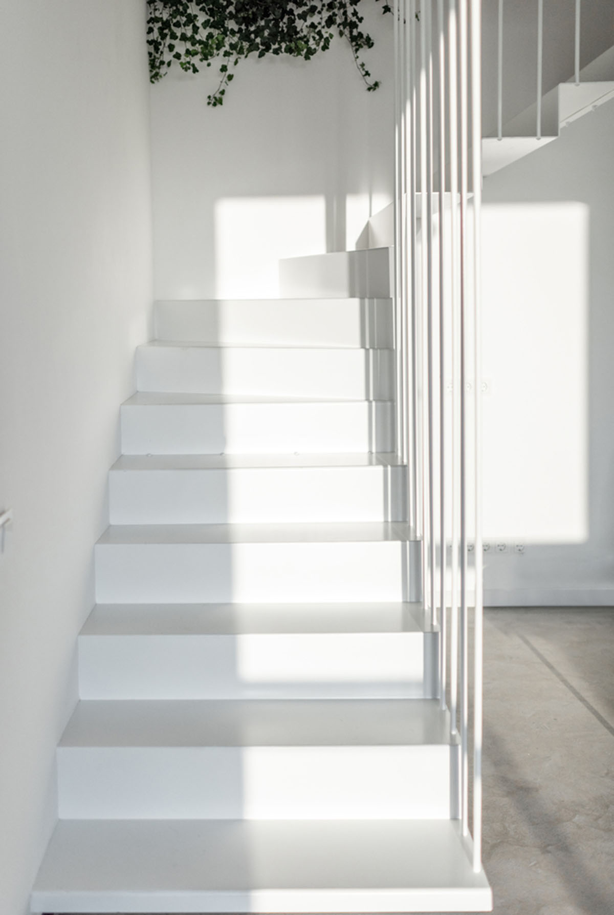 Metal framed-table, glass partitions, green infills make this interior space vivid and light in Lviv
