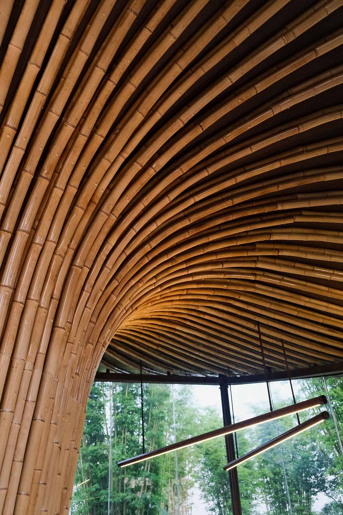 Archermit imagines an exhibition building as a huge bamboo tree at the center