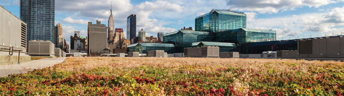 CitiesAlive Conference will explore Innovation and Solutions for Urban Challenges in New York