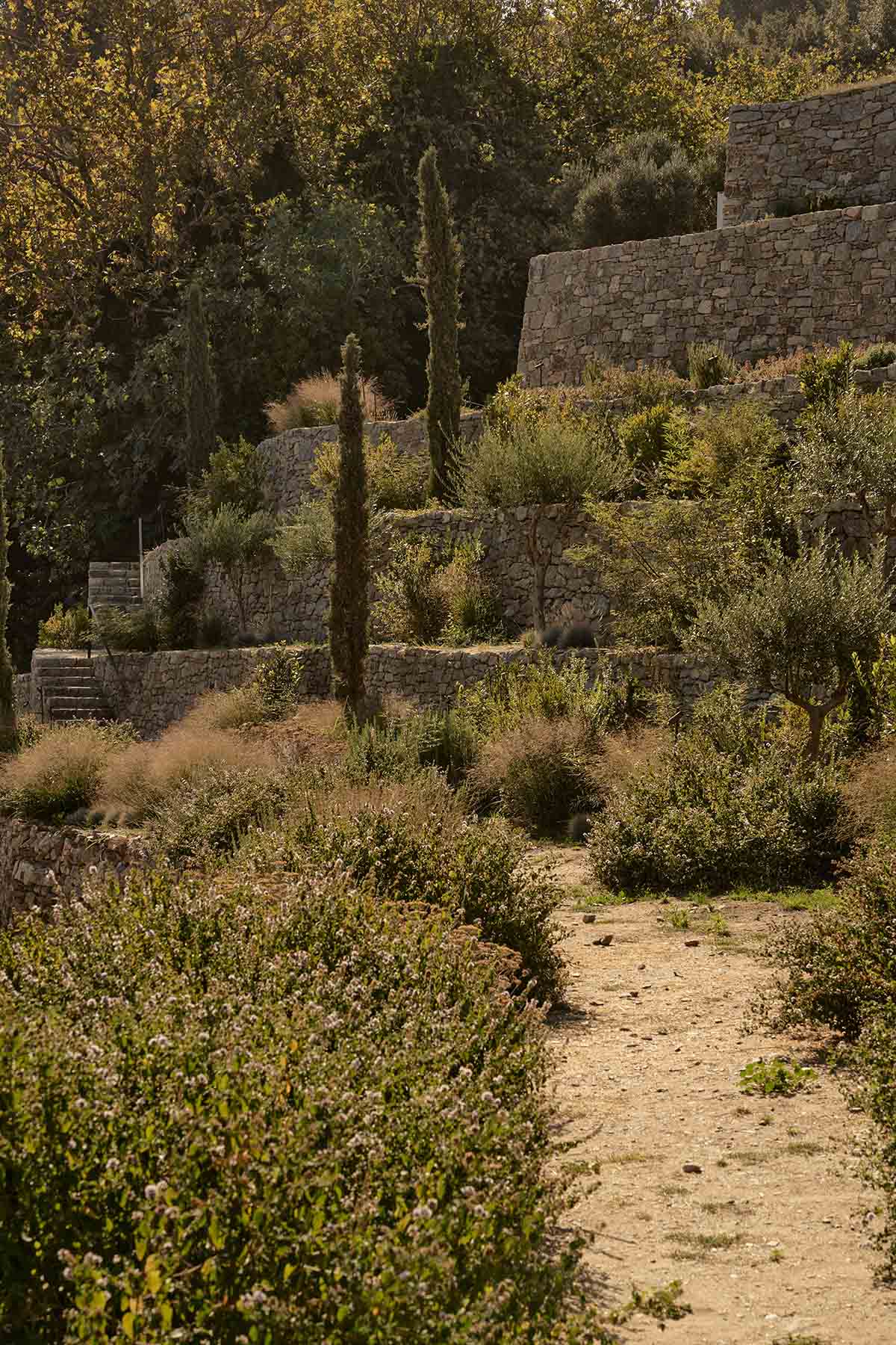 Terraced stonewalls sprawl down to offer an exploratory route in an old vineyard in Samos