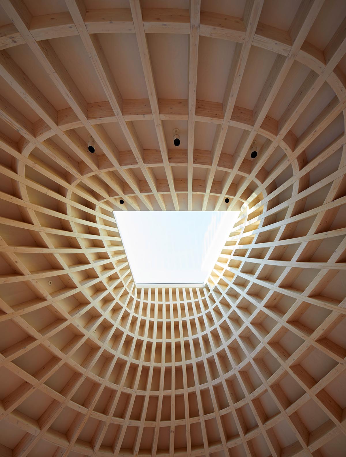 Gianni Botsford Architects transforms dilapidated bungalow with a giant copper clad roof in London