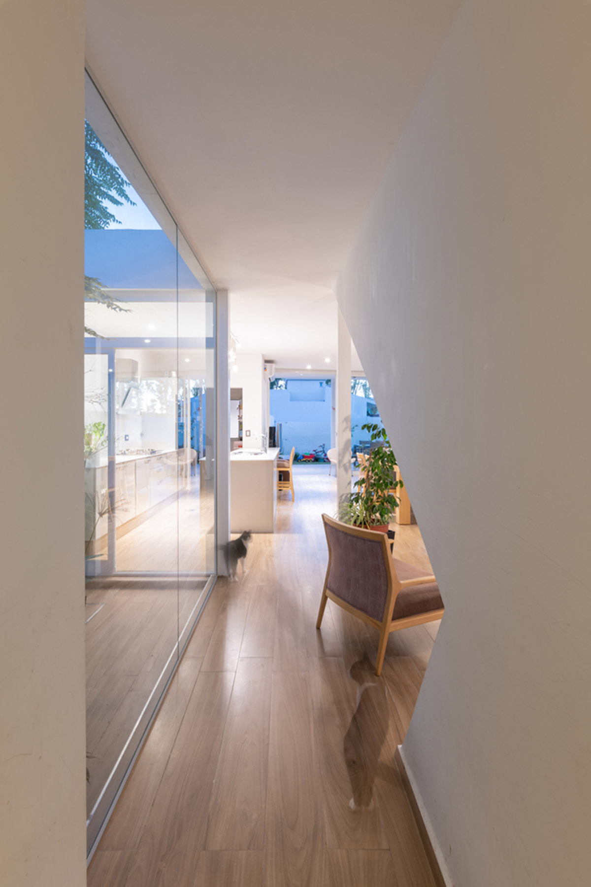 Sincresis Arquitectos designs cross-shaped family house on the outskirts of Córdoba