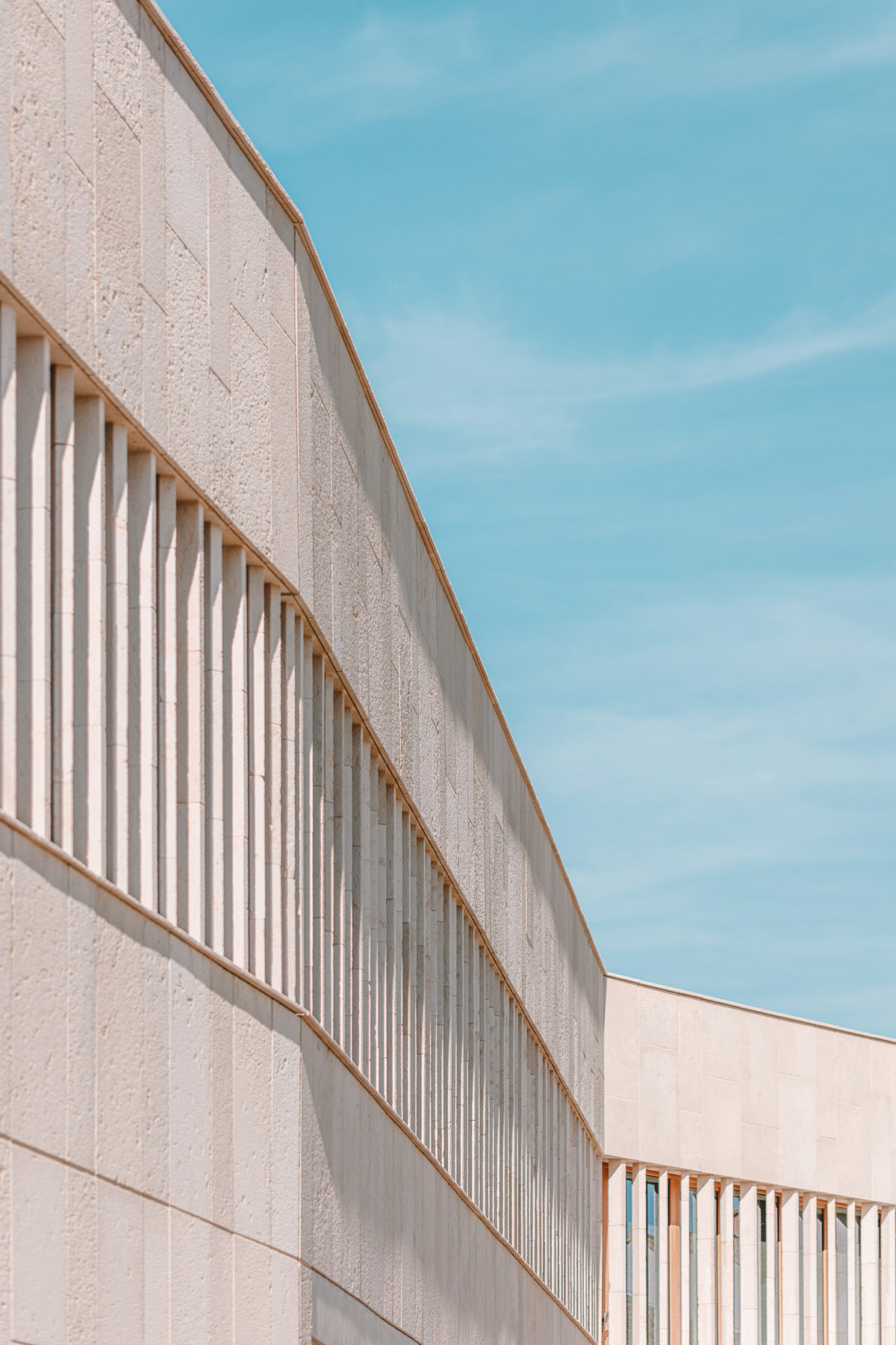 Low-lying school by Amelia Tavella Architectes acts like a fossil building in France 