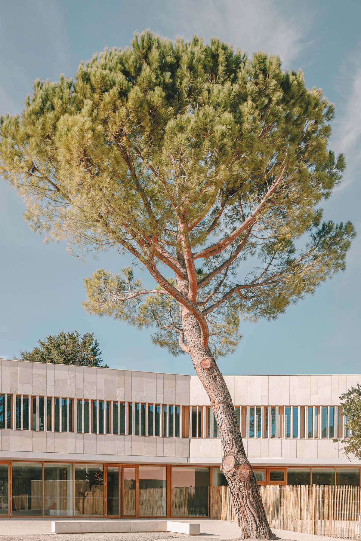 Low-lying school by Amelia Tavella Architectes acts like a fossil building in France 