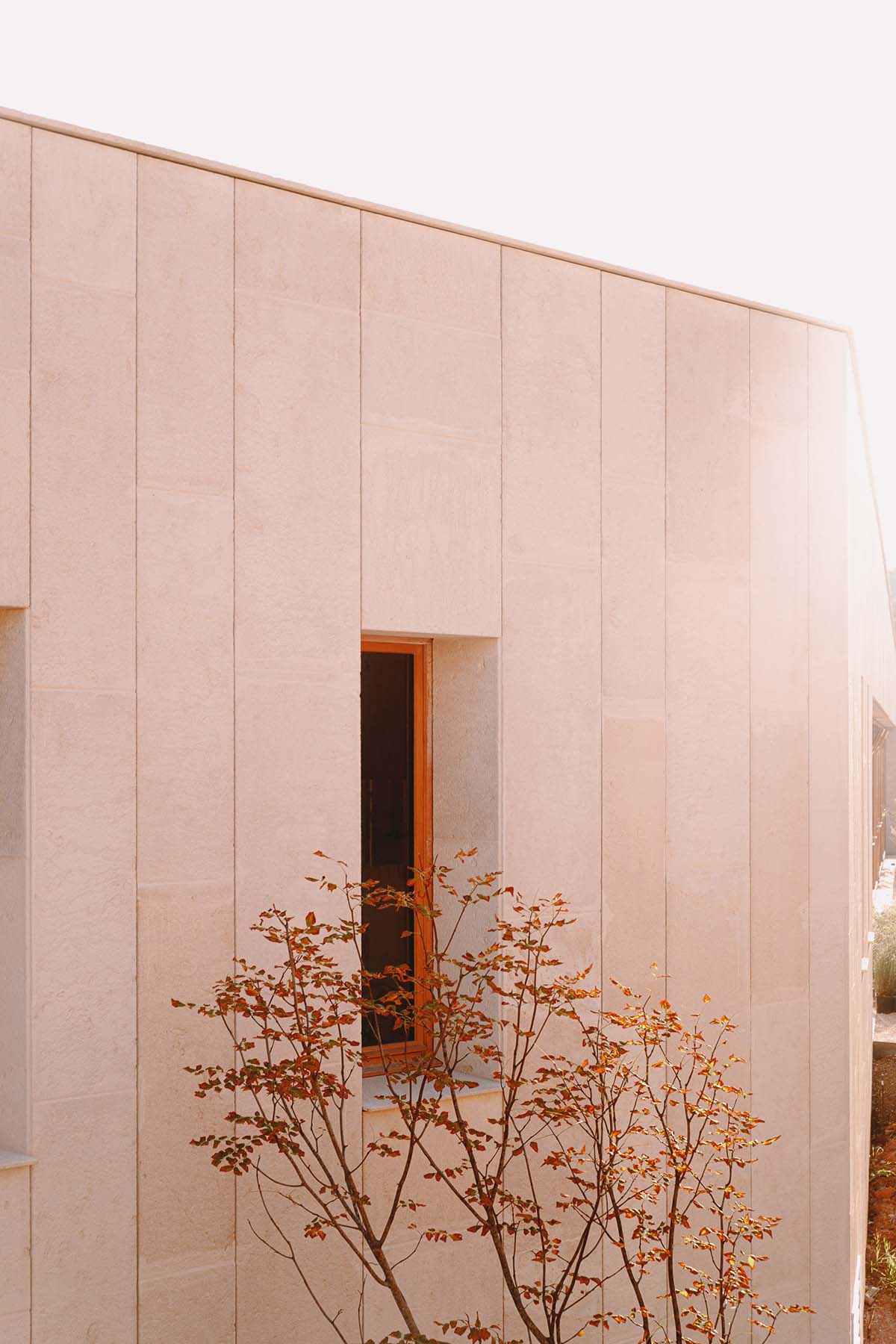 Low-lying school by Amelia Tavella Architectes acts like a fossil building in France 