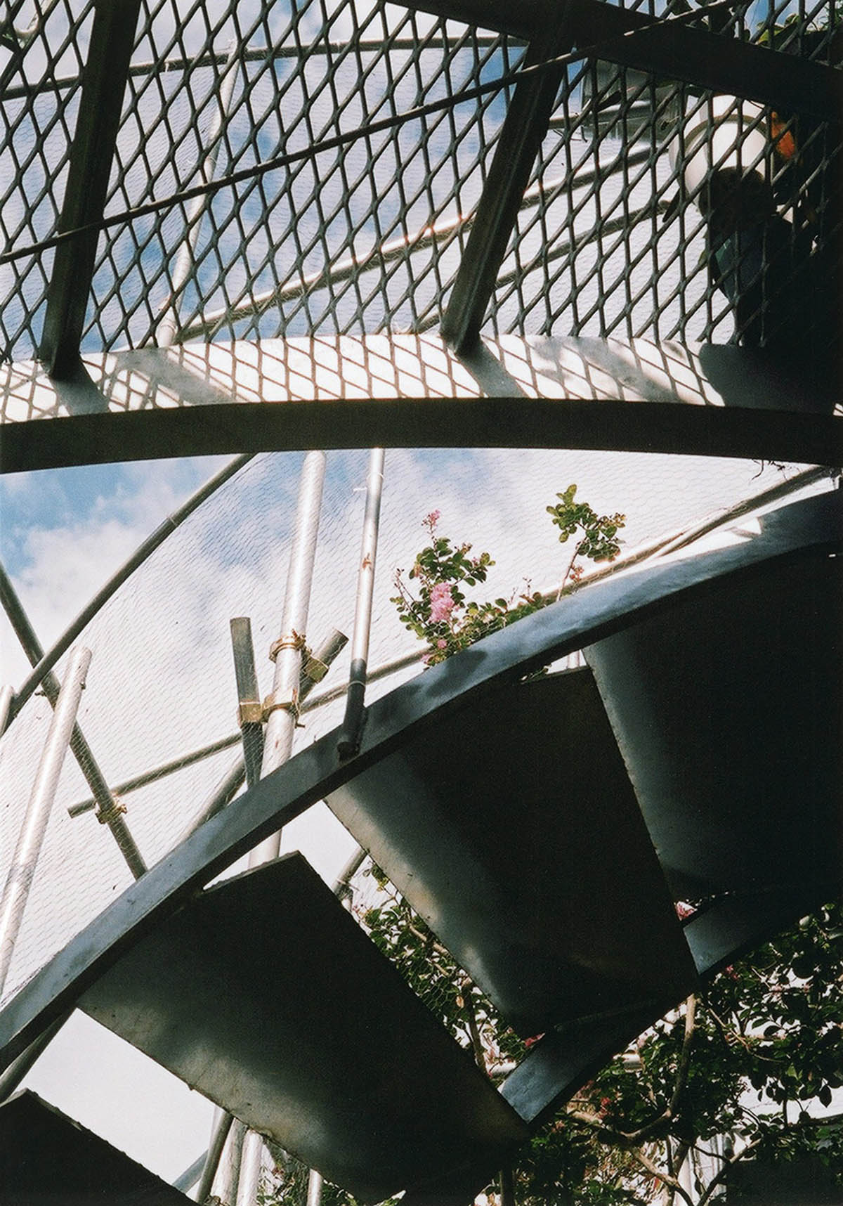 Daita2019 House by Suzuko Yamada Architects takes its language from the complexity of linear elements