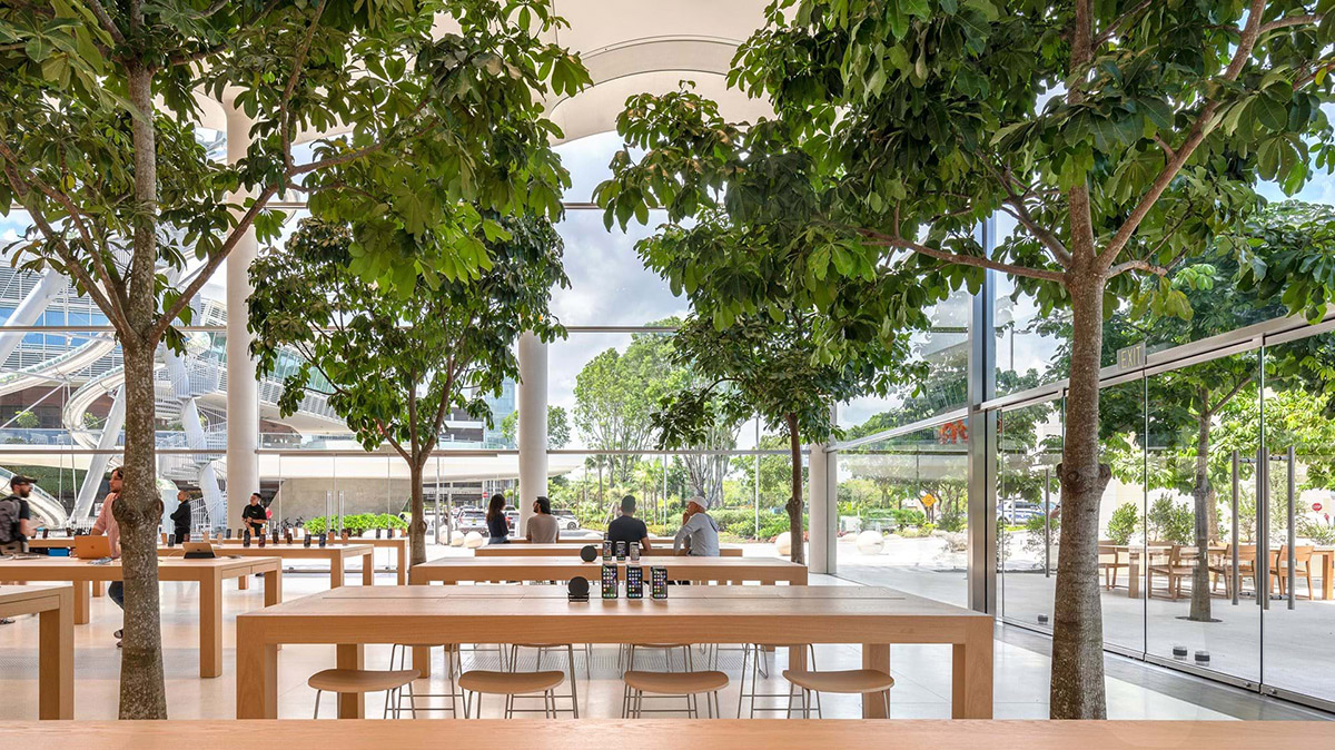 Foster + Partners' Apple store features undulating vaulted roof taking cues from Miami's climate