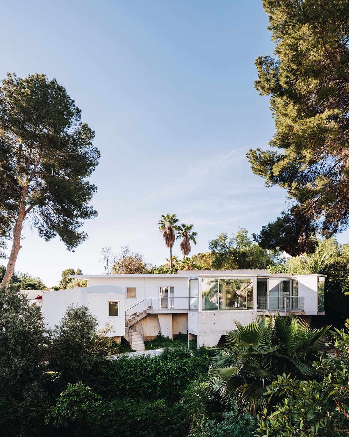 ESPECIE Arquitectura imagines Casa PB16 like