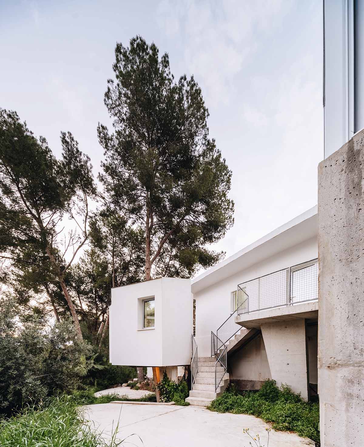 ESPECIE Arquitectura imagines Casa PB16 like