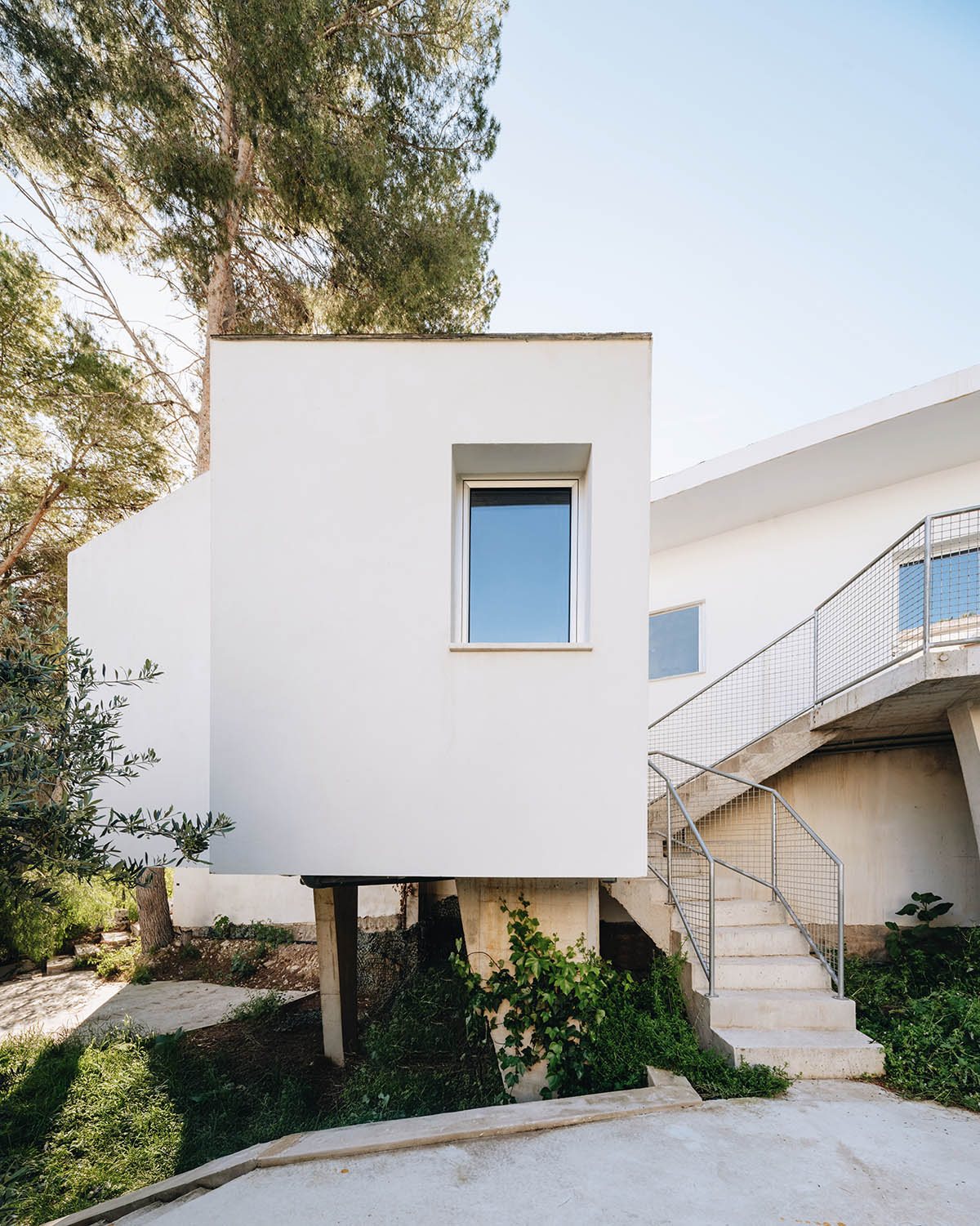 ESPECIE Arquitectura imagines Casa PB16 like