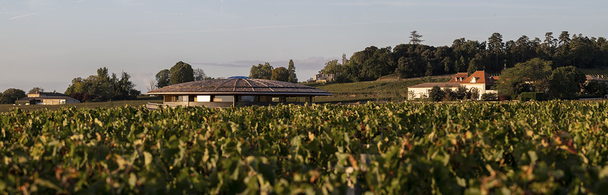 Foster + Partners completes circular Le Dôme winery in the rolling hills of Bordeaux