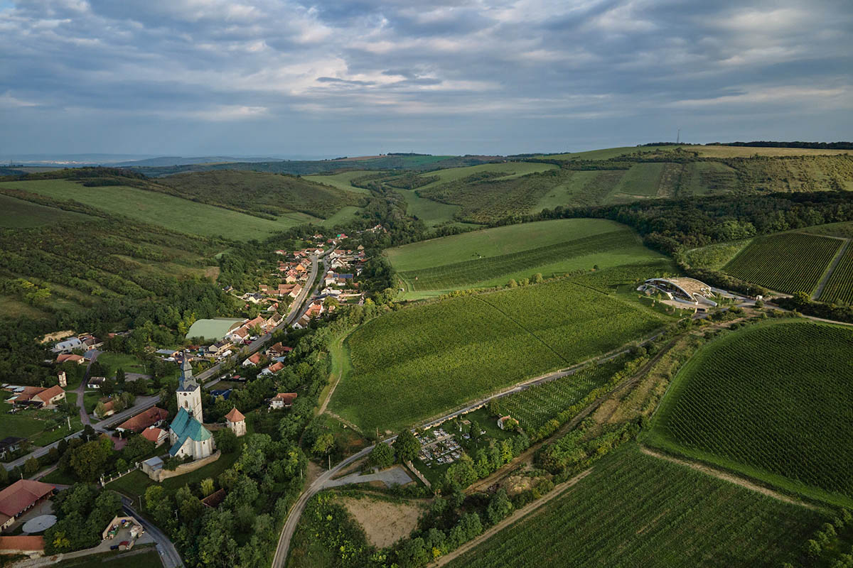 Curved green roof hides winery by Aleš Fiala in a rolling landscape in the Czech Republic