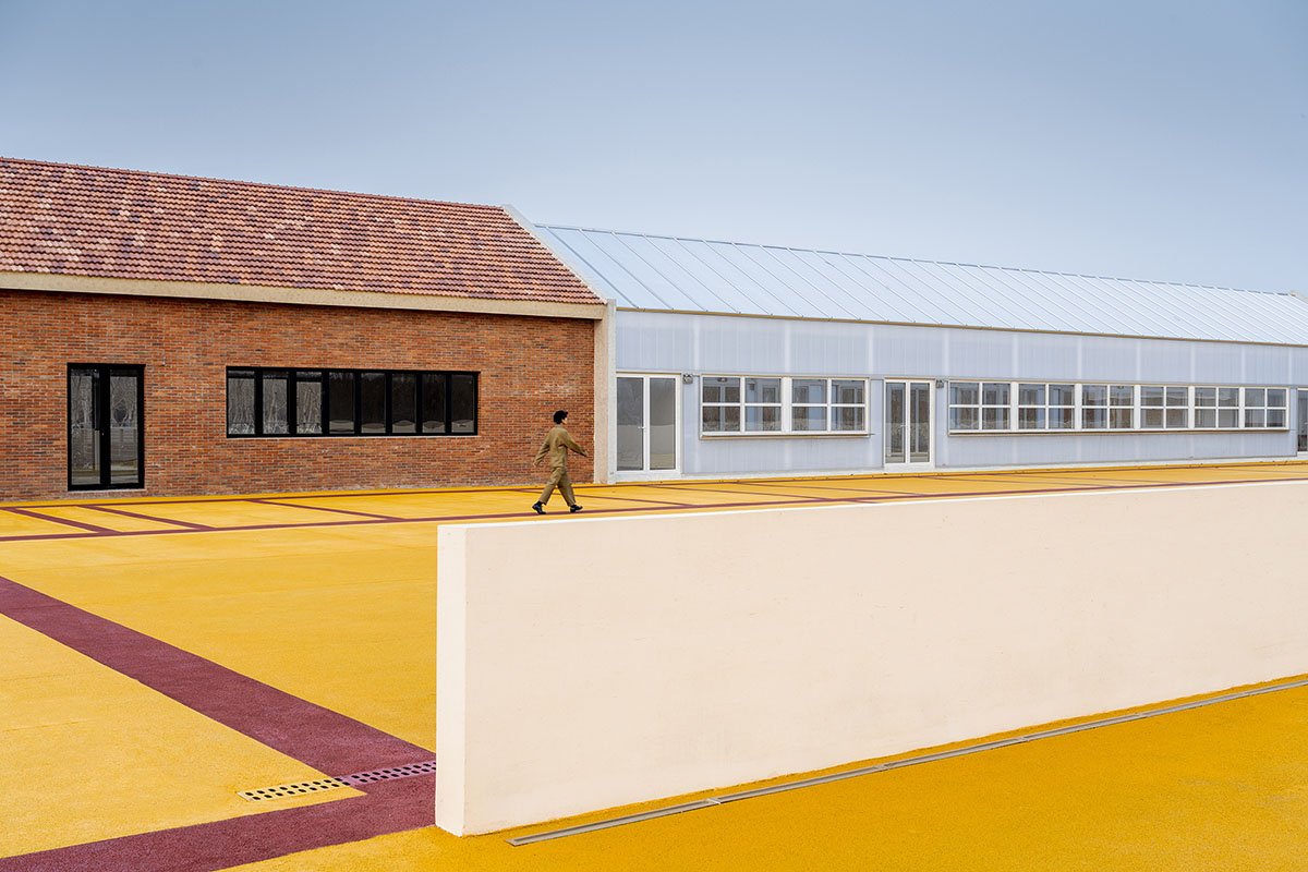 Wutopia Lab converts abandoned barnyard into a golden yellow field resembling a frozen harvest time