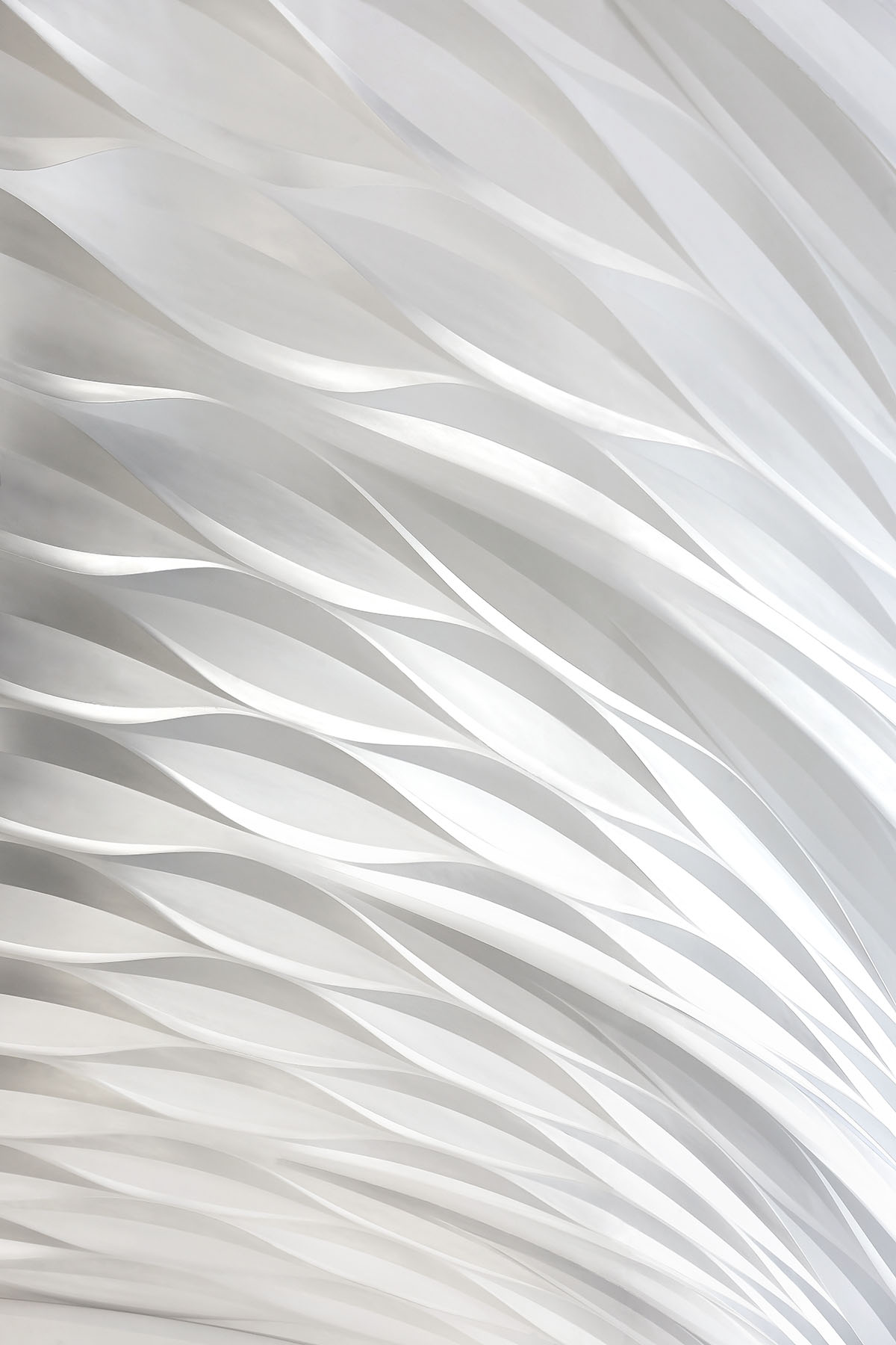 Zaha Hadid Architects' One Thousand Museum photographed by Hufton+Crow