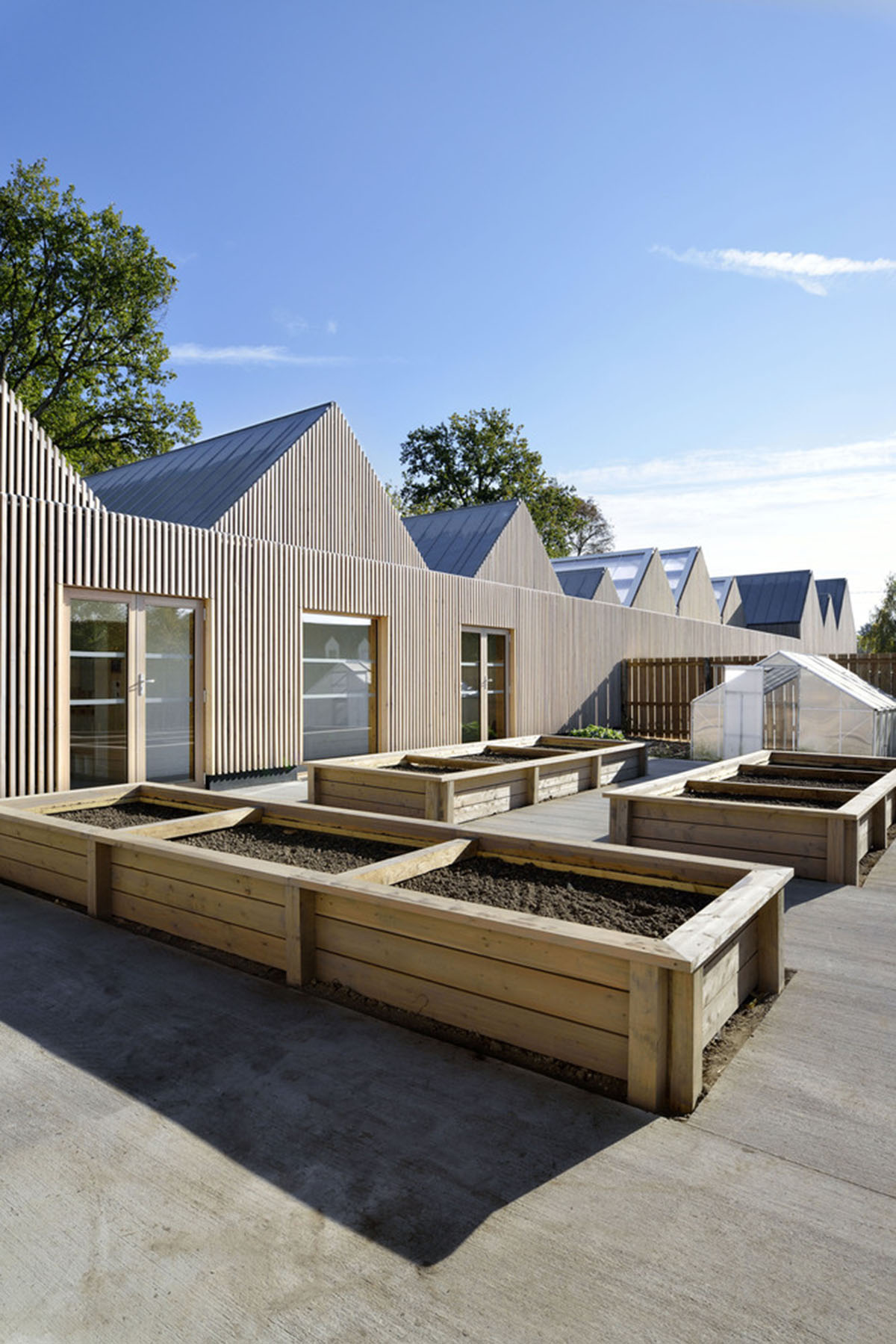 This human-scale school in French town wrapped by different geometry of wood claddings