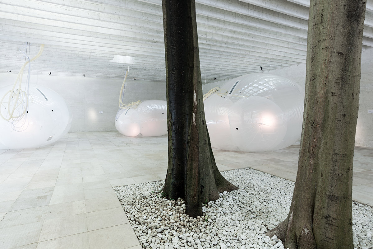 Nordic Pavilion showcases symbiotic relationship with Another Generosity at Venice Biennale