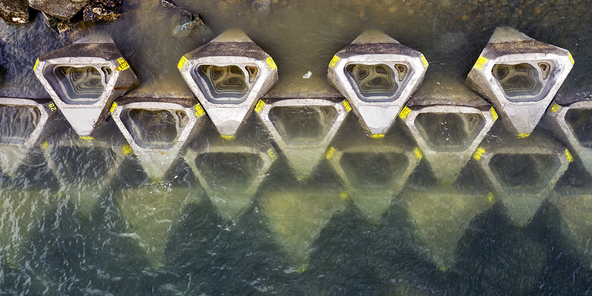 Design Educates Awards announces winners for its 2022 edition 