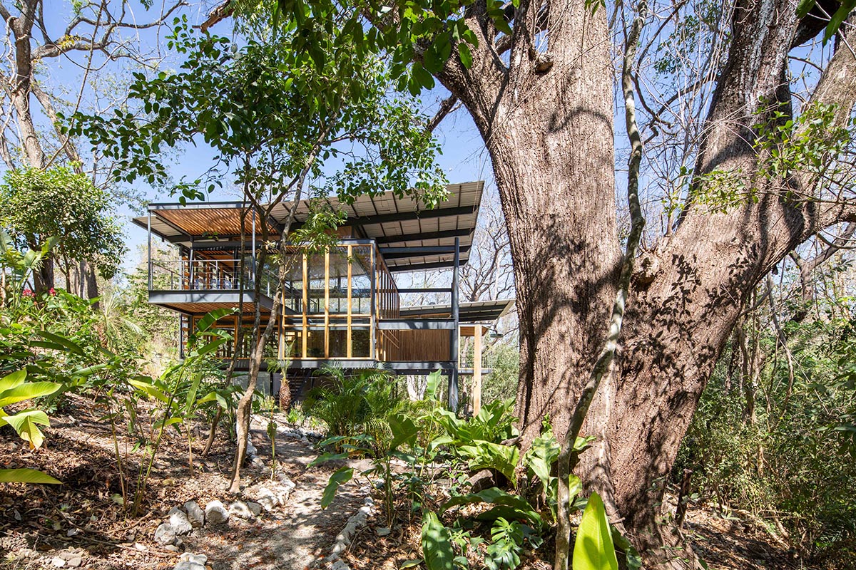 Studio Saxe completes Jungle Frame House with tropical atrium in Costa Rica