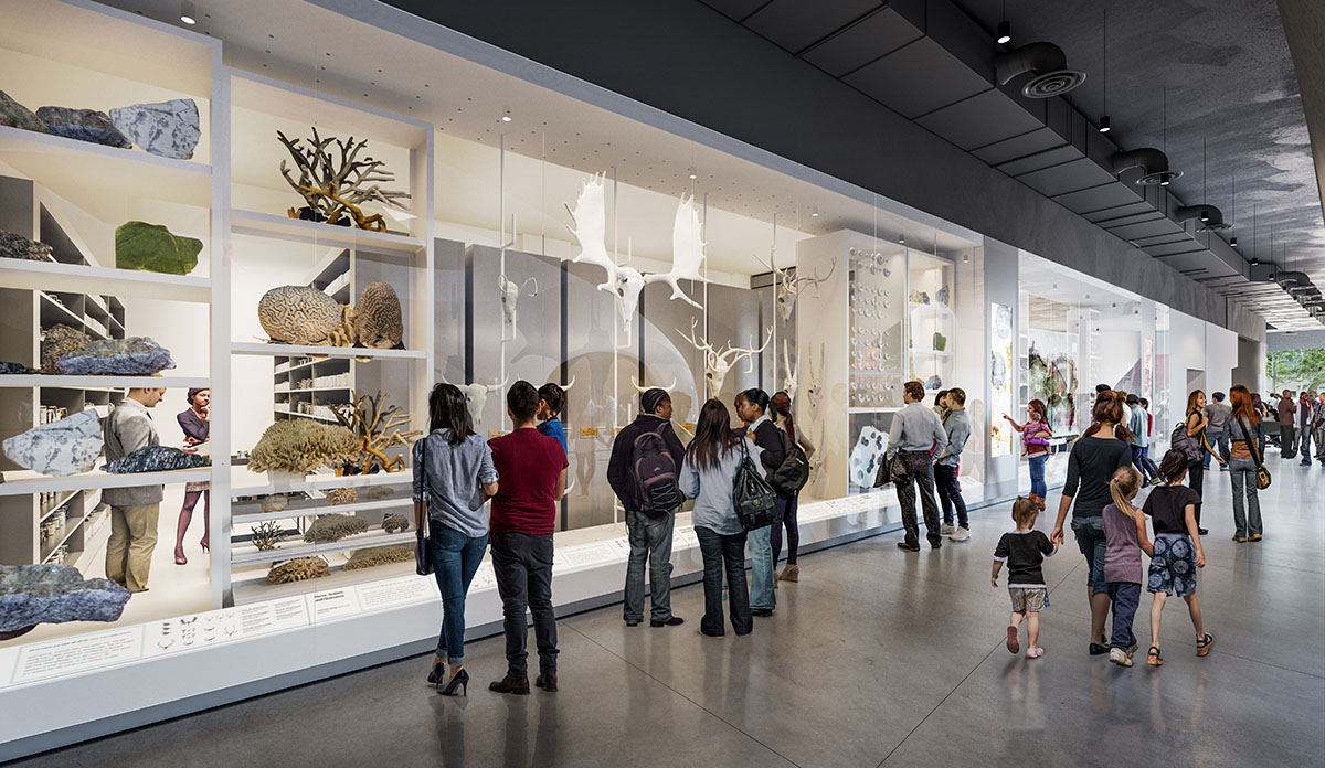 Studio Gang's Gilder Center at AMNH is set to be opened to the public on 17 February 2023