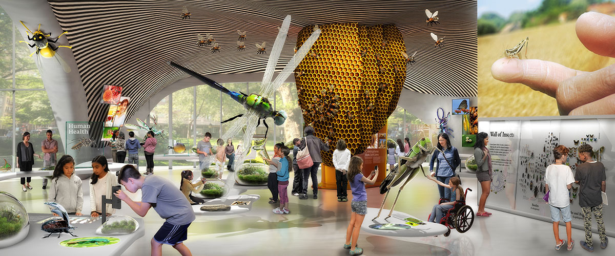 Studio Gang’s American Museum of Natural History Expansion is set to begin construction