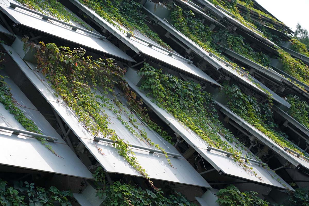 THAD's undulating prefabricated shell protects archaeological site of Peking Man cave in China