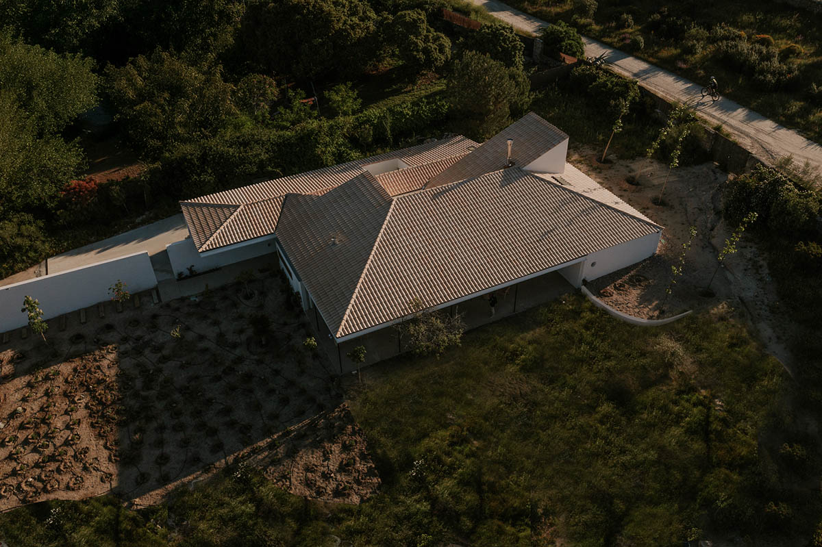 This house interacts with light and space, dimming to create a harmonious architectural experience