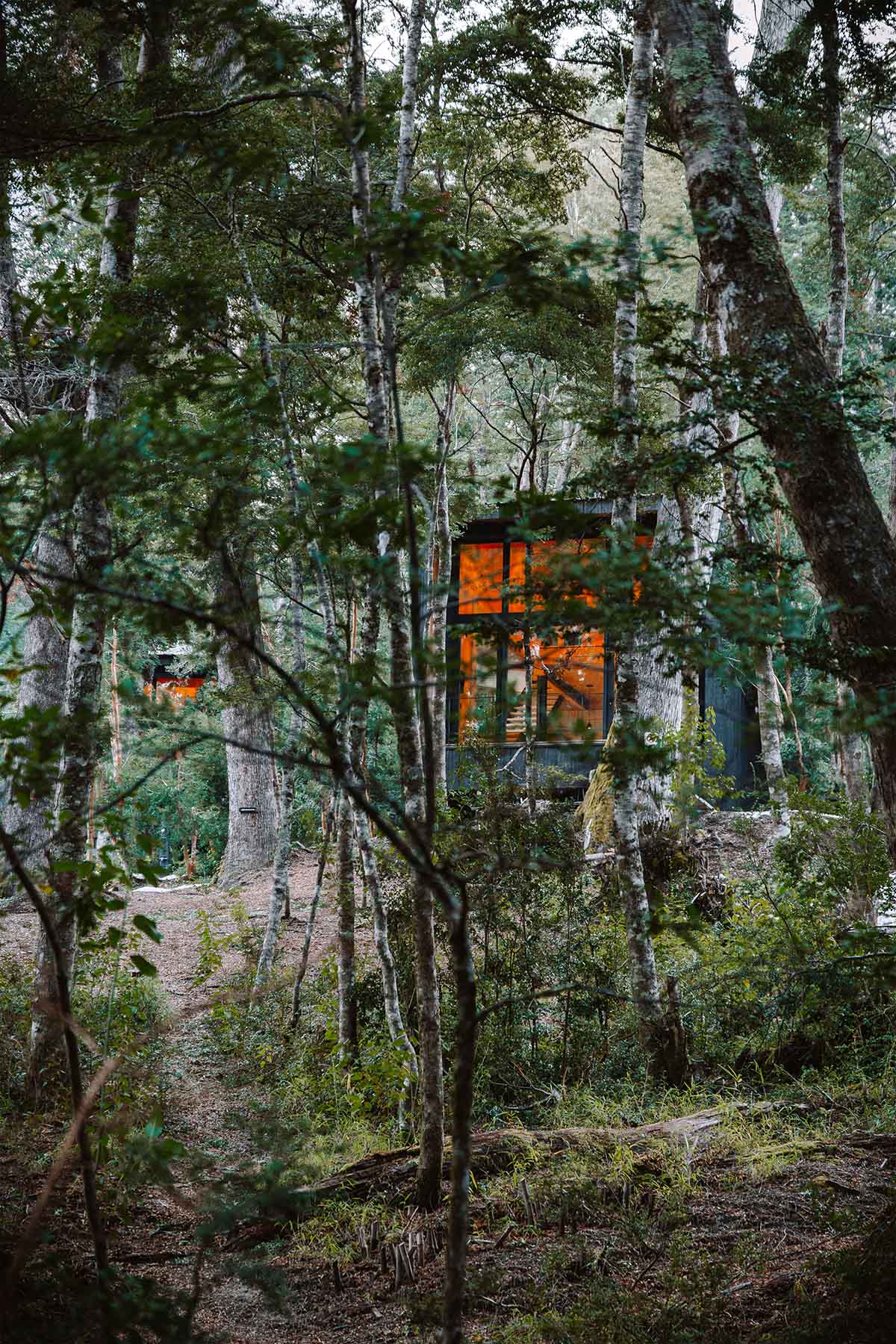 Argentinean guest cabins are envisioned with a rugged, rocky morphology clad in eucalyptus wood