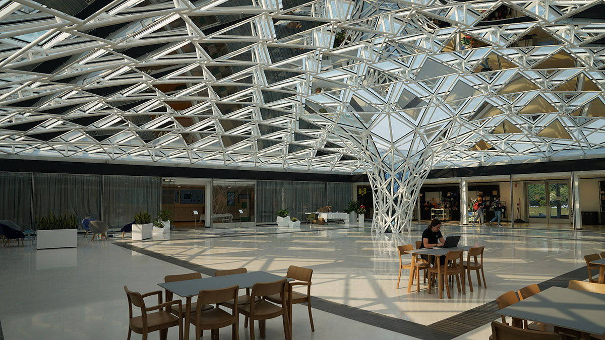 Studio Other Spaces adds glass canopy to Buffalo museum's courtyard as 