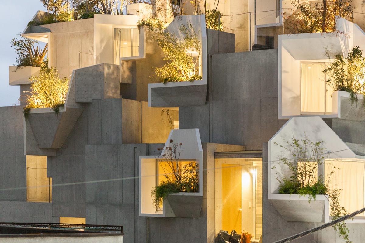 Akihisa Hirata built Tree-ness house that can create organic mass with indoor and outdoor spaces