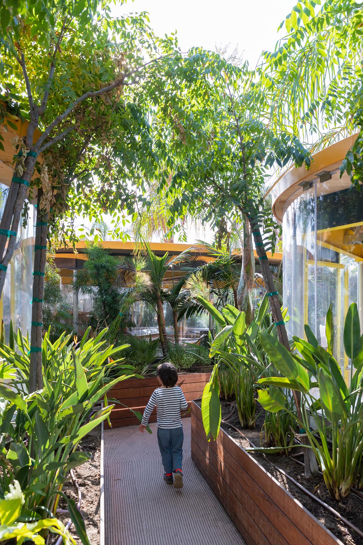 SelgasCano completes Second Home's Hollywood campus with yellow working pods among tress and plants