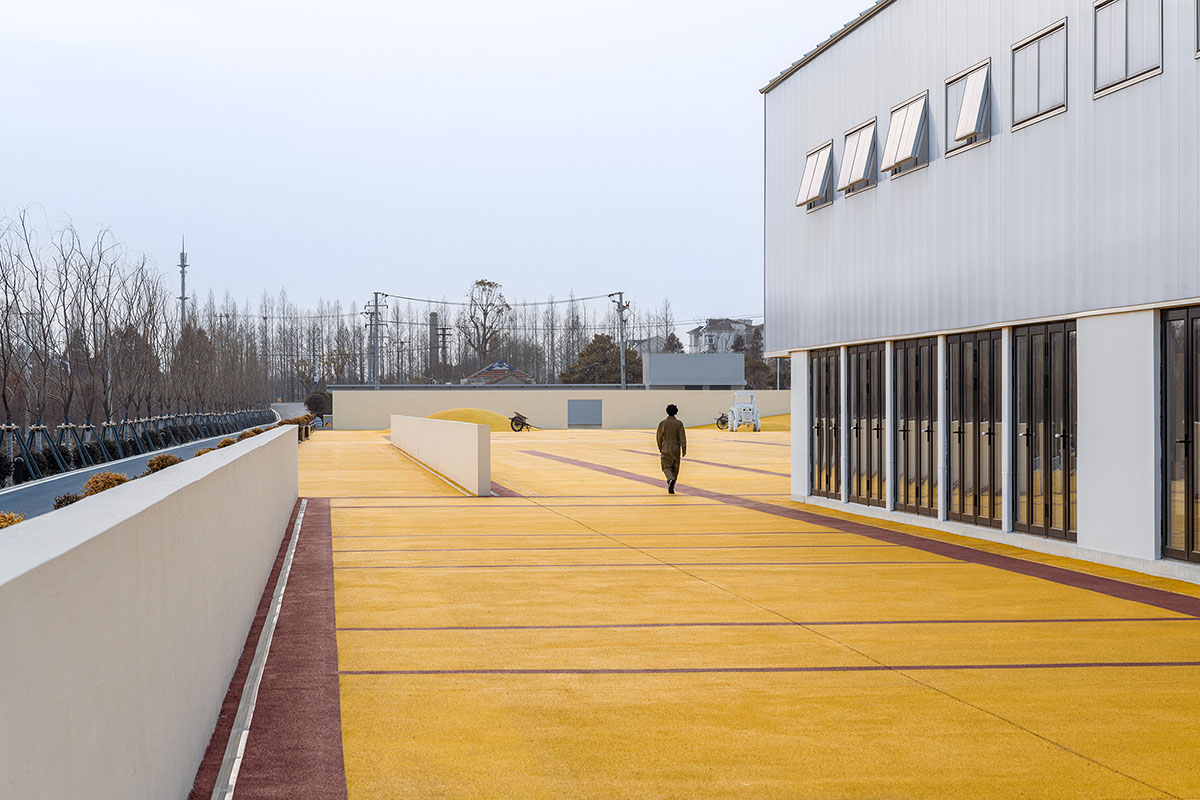Wutopia Lab converts abandoned barnyard into a golden yellow field resembling a frozen harvest time