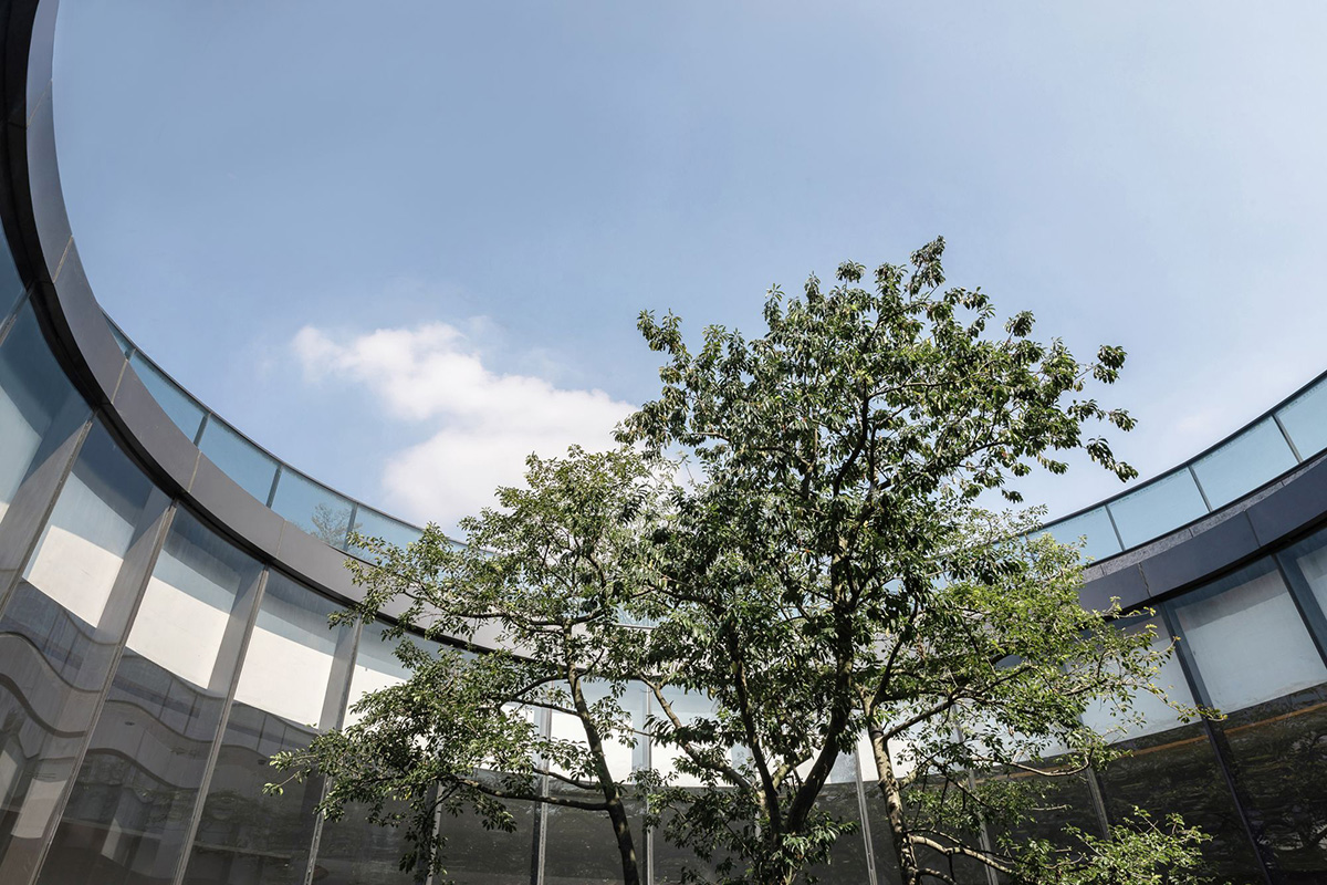 Qiran Design Group completes pavilion with fusion of nature and curved geometries in Foshan, China