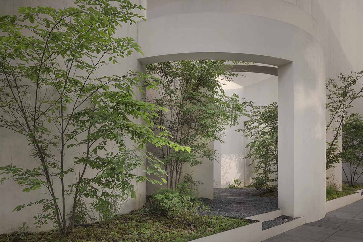 HAS design and research built a museum featuring curved walls resembling landscape caves 