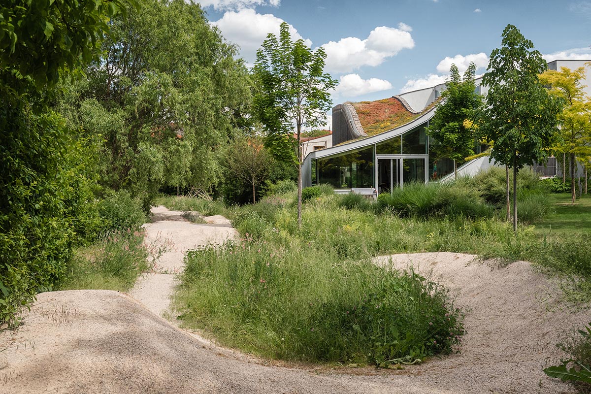 Family house by RO_AR merges two geometries with undulating grass-filled roof in the Czech Republic