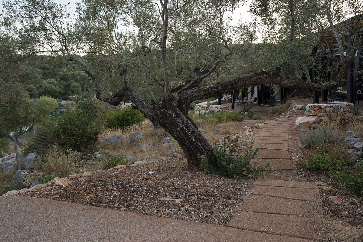 Pastoral round stone dwellings inform Meganisi House by Hiboux Architecture on Meganisi island