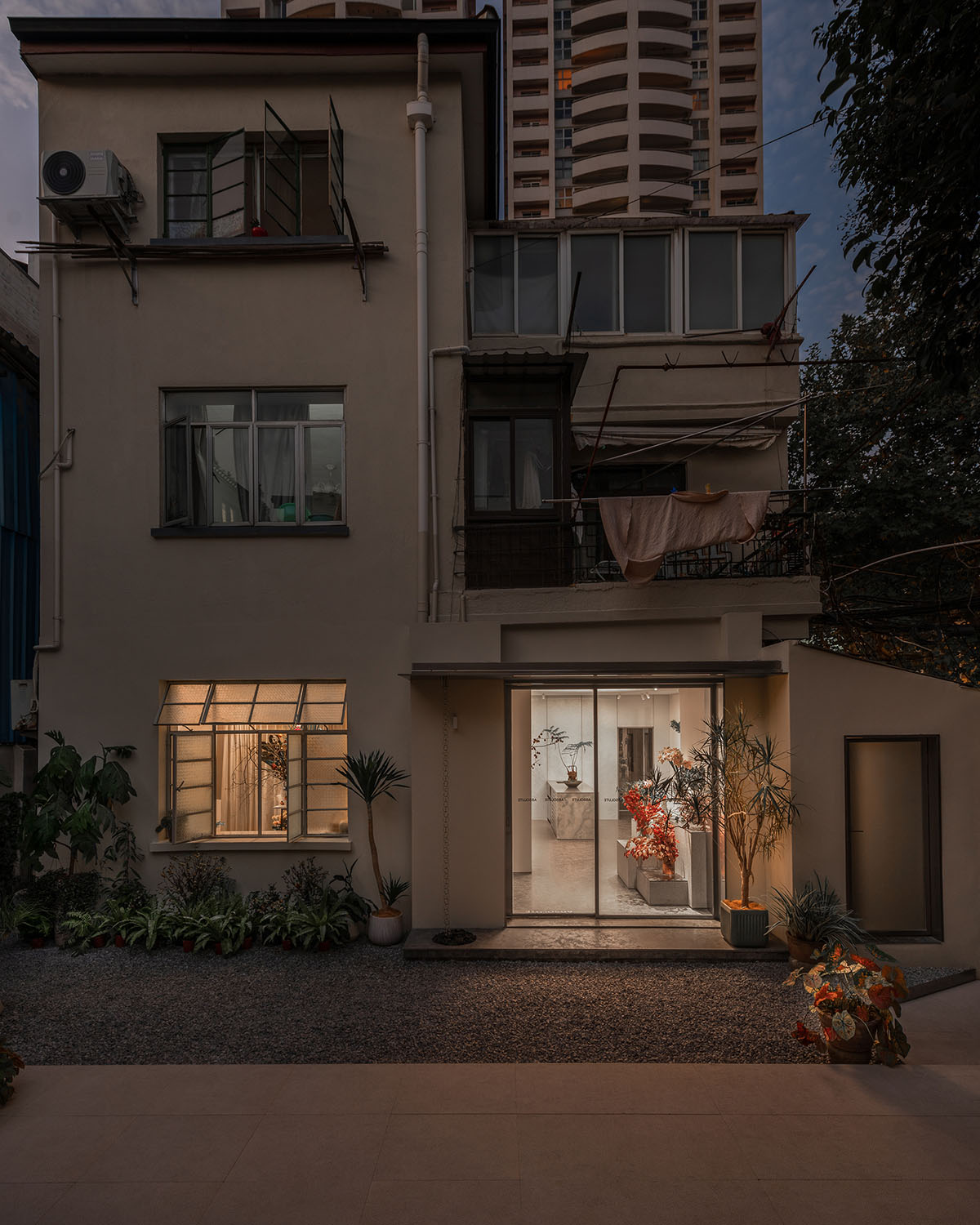 More Design Office's Absolute Flower Shop features cellular spaces with flower arrangements