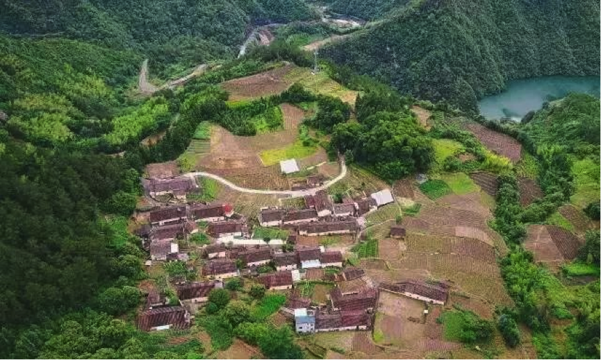 International Competition: 