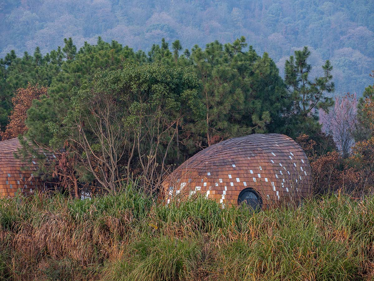 ZJJZ built The Seeds made of ellipsoidal surfaces and clad in pine shingles in Jiangxi, China