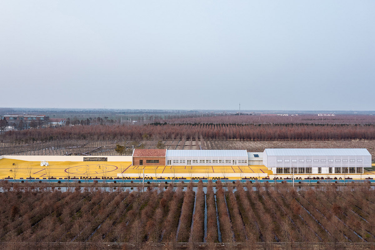 Wutopia Lab converts abandoned barnyard into a golden yellow field resembling a frozen harvest time